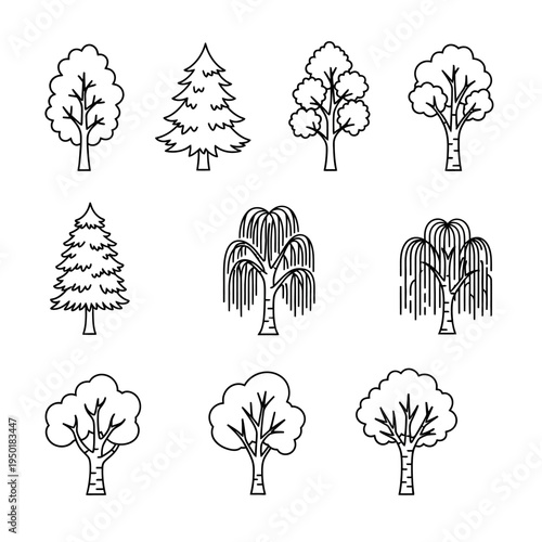 A variety of tree illustrations in black and white.
