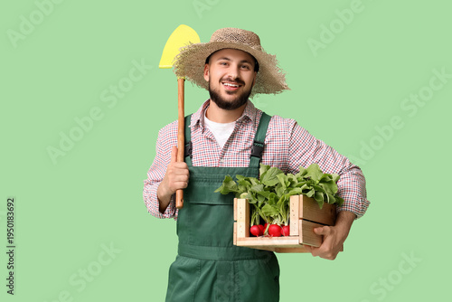 Male farmer with box of ripe radish and shovel on green background