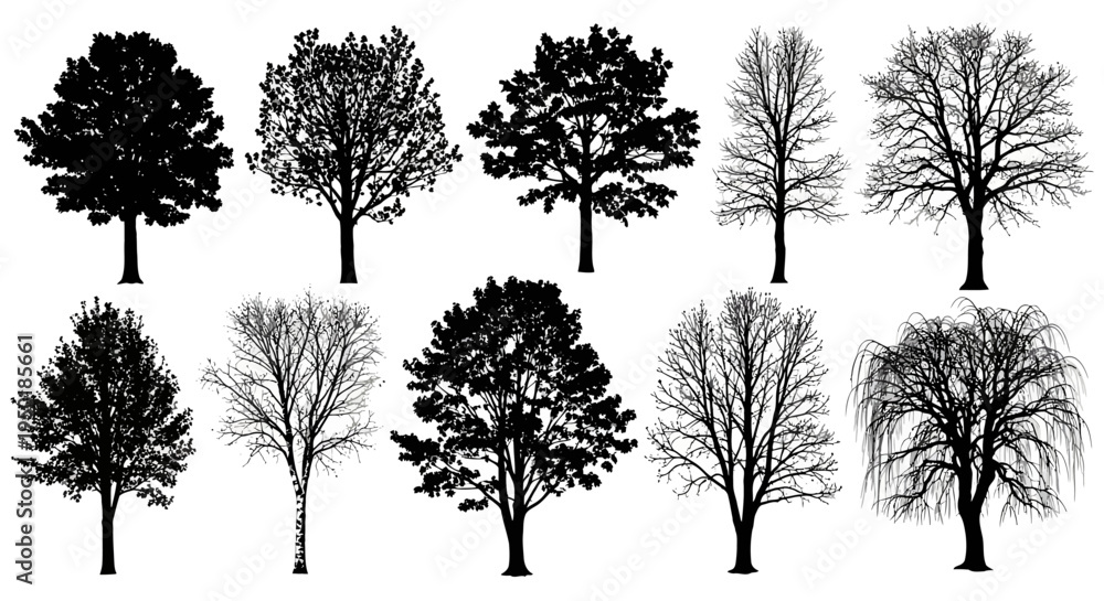 Fototapeta premium Collection of various tree silhouettes in different seasons.