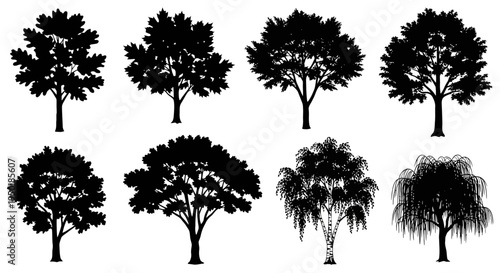 Collection of various tree silhouettes isolated.