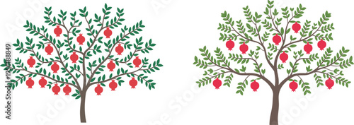 Two decorative pomegranate trees with ripe red fruits and green leaves vector