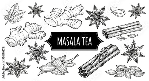 Vintage Masala Tea Spice Set: Hand-Drawn Botanical Illustrations of Ginger, Cinnamon, Star Anise, and Cardamom