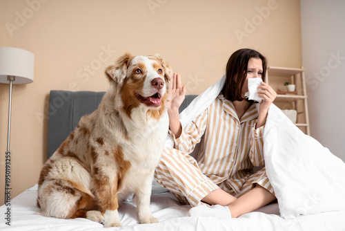 Dog and young woman with al...