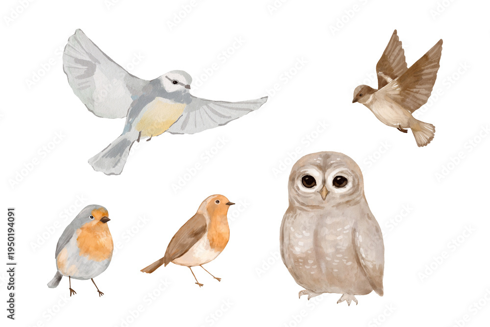 Obraz premium Watercolor forest birds set with owl, small robins and flying birds isolated illustration for nursery design and stickers