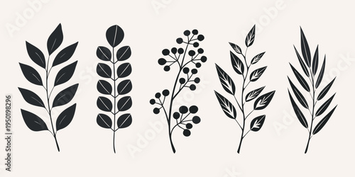 Elegant botanical illustration featuring various black leaf and stem arrangements