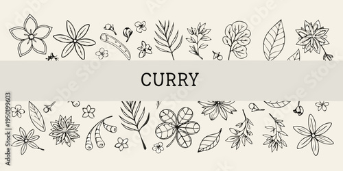 Botanical illustration of curry plant leaves and flowers in black and white
