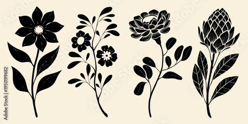 Elegant floral arrangement a black and white botanical illustration series