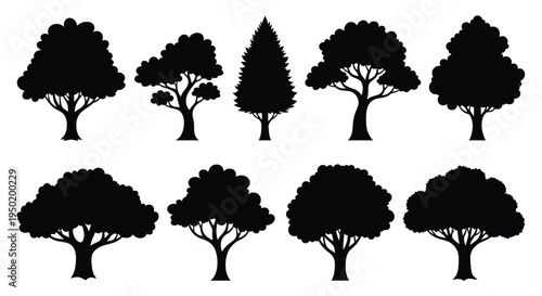 Collection of diverse tree shapes presented as a striking silhouette
