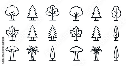 Nature icons with oak pine palm outline minimal