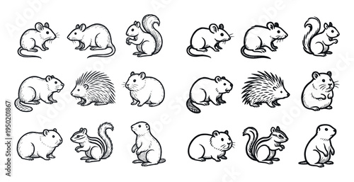 Woodland animal icons with squirrel porcupine mouse sketch