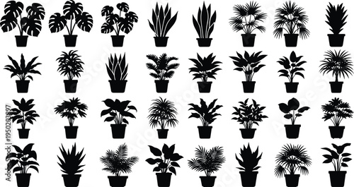Black Houseplant Silhouette Collection Featuring Monstera Snake Plant and Tropical Indoor Greenery Icons Isolated on White Background for Interior Design Vector