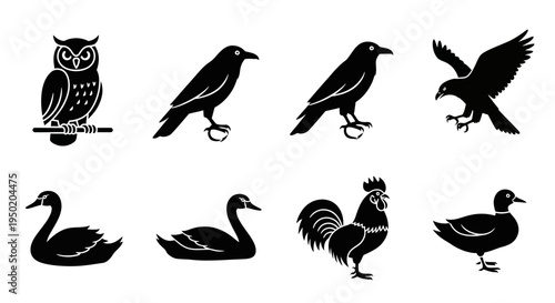 Collection of various bird silhouettes.
