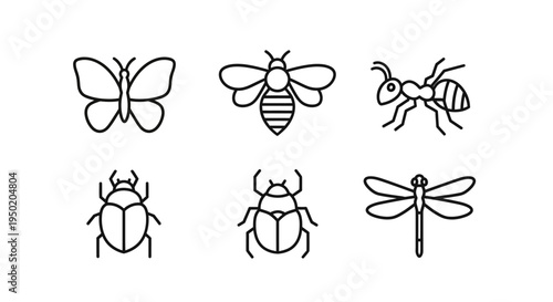 Insect icons set with line art style.