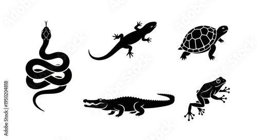Black silhouettes of reptiles and amphibians.
