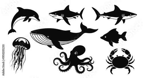 Black and white sea creatures silhouettes.