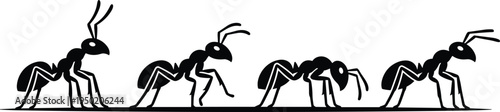 Ant silhouette movement sequence, black insect walking cycle stages isolated on white background, vector illustration of ant animation frames