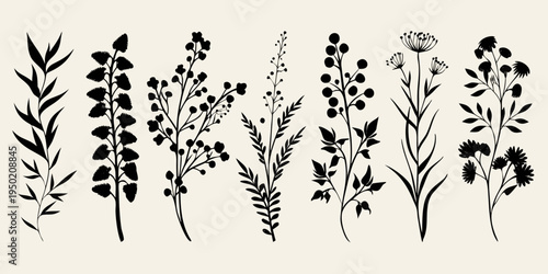 Elegant black silhouettes of various wildflowers and botanical plant arrangements
