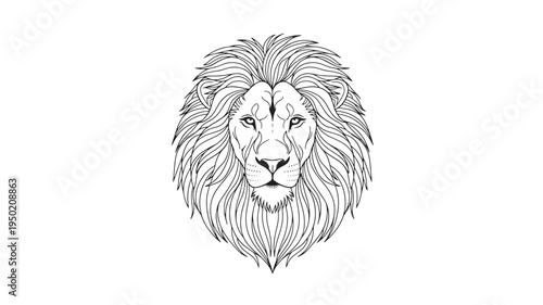 Vector lion head illustration, black and white