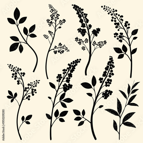 Elegant botanical silhouettes of various flowering branches and leafy stems