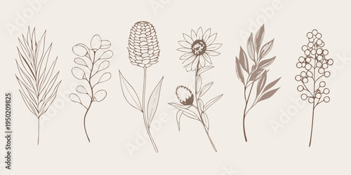 Delicate botanical illustration featuring various wildflowers and foliage