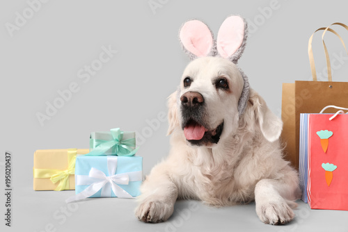Cute Golden Retriever dog i...
