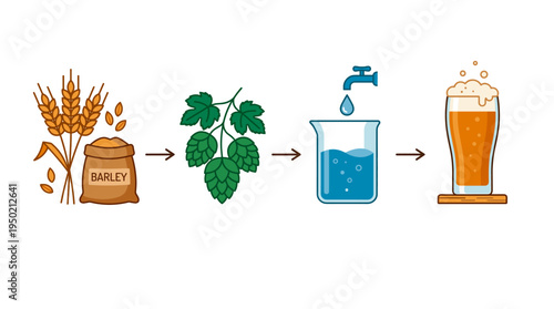 Beer ingredients and process illustrations