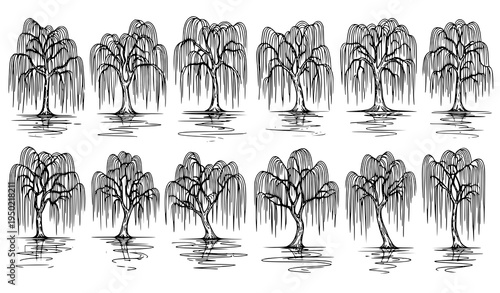 Weeping willow tree outline sketch collection with water reflection hand drawn botanical landscape vector illustration isolated on white background