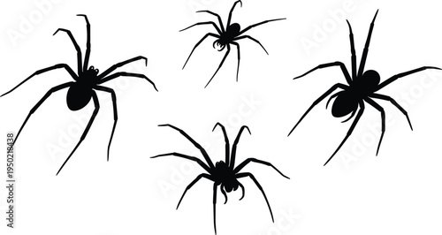 Black spider silhouette collection with crawling insect arachnid elements scary tarantula wolf spider cad drawing flat vector illustration for design