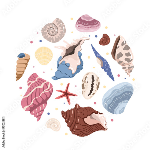 Collection of various tropical seashells, ocean snails and starfish arranged in a circle. Marine elements for summer stationery, branding and textile design.
