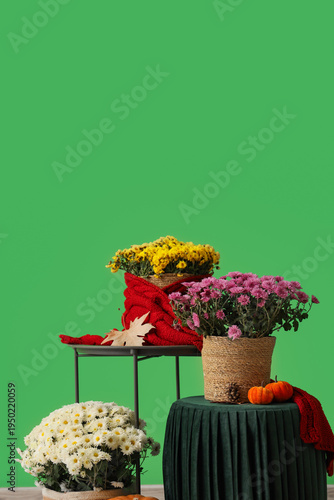 Autumn composition with chr...