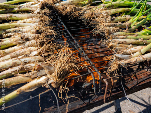 Cuadro en lienzo Calçots arranged on barbecue grill roasting over wood fire during Catalan calçot