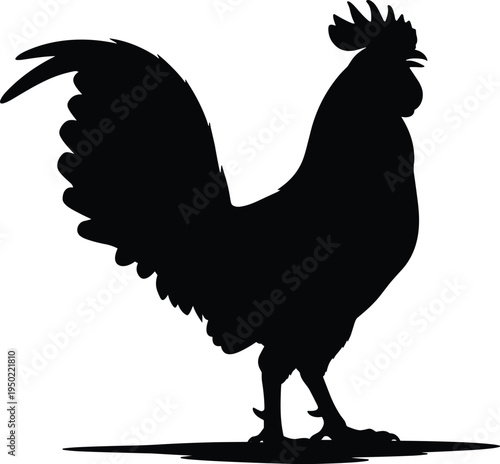 Black silhouette rooster standing upright profile with detailed comb, beak, claws, and tail feathers casting shadow, farm animal poultry illustration for logo or educational use
