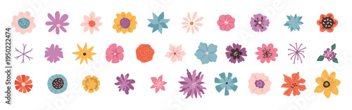Spring or summer flowers collection, isolated field or forest blooming flowerets. Vector wildflowers with petals. Blossom seasoning diversity of flora. Flourishing botanical elements set