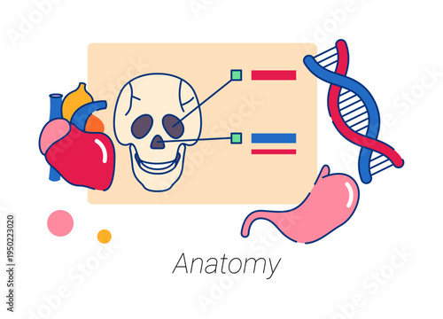 Anatomy school or university discipline. Vector isolated flat cartoon icon for student curriculum. Learning human body and organs, branch of biology. Knowledge of structure of organisms