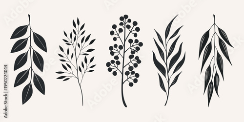 Elegant botanical illustration featuring five different leafy branches