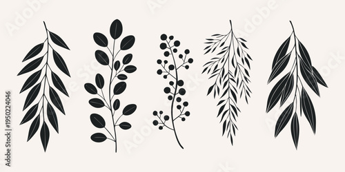 Elegant botanical illustration featuring various leafy branches in black ink