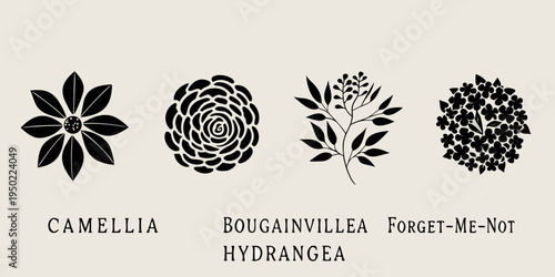 Botanical illustration featuring camellia bougainvillea forget me not and hydrangea