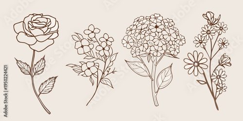 Botanical illustration of roses hydrangeas and delicate wildflower arrangements
