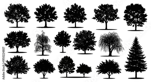 Collection of various tree silhouettes.