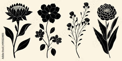 Elegant black floral arrangement featuring protea and delicate botanical stems