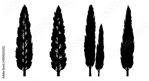 Silhouettes of various tree shapes.