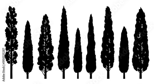 Silhouettes of various tree shapes.