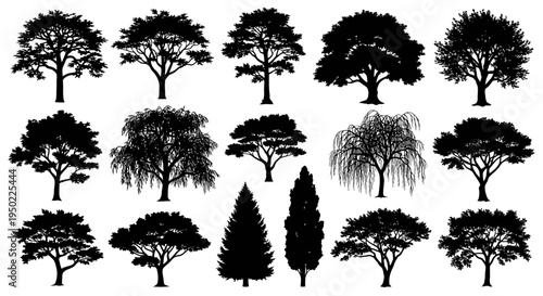 Collection of various tree silhouettes.