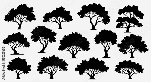 Collection of various tree silhouettes on white background.