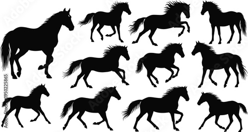 Black horse silhouette set featuring wild stallions and mares in various poses like running galloping jumping and standing isolated on white background vector illustration