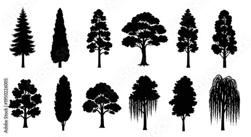 Collection of various tree silhouettes.
