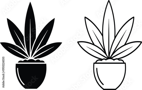 Indoor potted houseplant vector illustration set with decorative plant pots