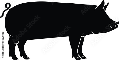Black silhouette of a domestic pig side view isolated on white background for livestock farming industry meat production butcher shop and agriculture design concepts