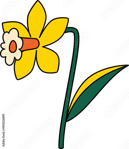 Daffodil Flower