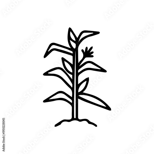 Growing Plant Icon